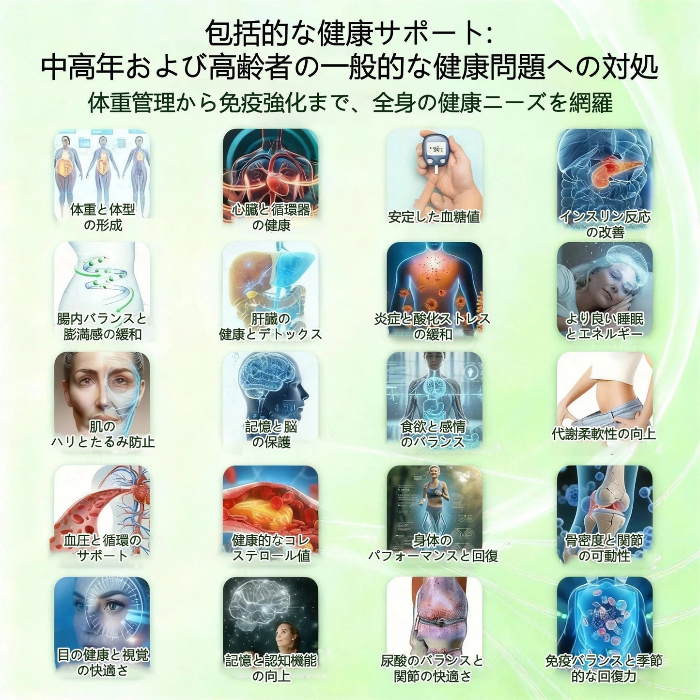 Healrize®👩‍⚕️＆NAD+ 12-in-1  ナノ強化フォーミュラ — 肥満、肌のたるみ、糖尿病、睡眠時無呼吸症候群、関節の悩み、その他健康上の懸念にアプロー📣