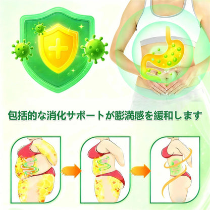 Healrize®👩‍⚕️＆NAD+ 12-in-1  ナノ強化フォーミュラ — 肥満、肌のたるみ、糖尿病、睡眠時無呼吸症候群、関節の悩み、その他健康上の懸念にアプロー📣